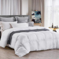 Alwyn Home Queen Bedding Comforter Duvet Insert - All Season Goose Down Alternative - Ultra Soft Quilted Comforters With