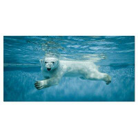 Made in Canada - Design Art Polar Bear Swimming Under Water - Photograph Print on Canvas