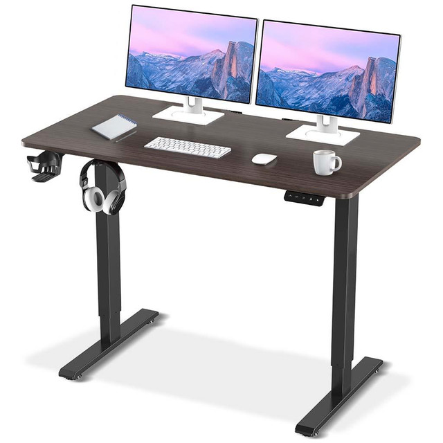 MotionGrey Standing Desk Height Adjustable Electric Motor Sit-to-Stand Desk Computer for Home and Office - Black Frame in Desks