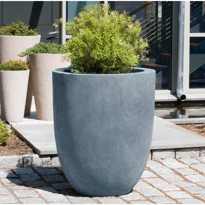 Brayden Studio Tiernan 1 Piece Pot Planter in Patio & Garden Furniture