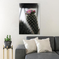 Foundry Select Green And Pink Cactus Plant - Wrapped Canvas Painting