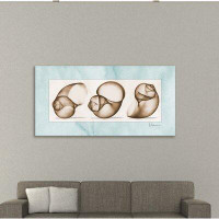 Dovecove "Moon Snails Trio" Gallery Wrapped Canvas By Albert Koetsier