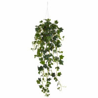 August Grove 33" English Ivy Plant in Basket