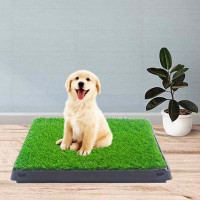 Tucker Murphy Pet™ Chambria Artificial Grass Dog Sofa