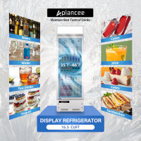 Aplancee Display Merchandiser Refrigerator 24" W 16.5 Cu.ft Glass Door