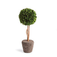 Three Posts Swader Artificial Boxwood Topiary in Planter