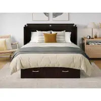 Lark Manor Artez Solid Wood Queen Murphy Bed with Charging Station and Mattress Included