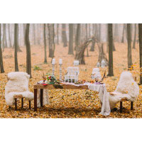 Millwood Pines Vintage Table In Autumn Woods by - Wrapped Canvas Graphic Art