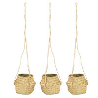 Bay Isle Home™ Seagrass Hanging Belly Basket Planter With Jute Rope Set/3