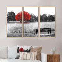 Ebern Designs Empty Bench Overlooking Red Tree - Landscape Framed Canvas Wall Art Set Of 3