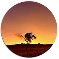 Made in Canada - Design Art 'Solitary Tree in Namib Desert' Photographic Print on Metal