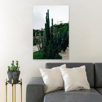 MentionedYou Green Cactus Plants Near Brown Wooden Fence During Daytime 1 - 1 Piece Rectangle Graphic Art Print On Wrapp