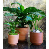 Foundry Select Karley 3-Piece Clay Pot Planter Set