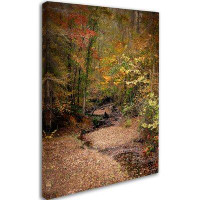 Trademark Fine Art 'Creek Bed in Autumn' Photographic Print on Wrapped Canvas