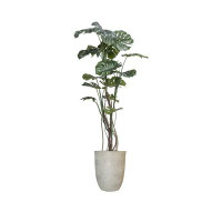 Vintage Home 79'' Faux Philodendron Plant in Planter