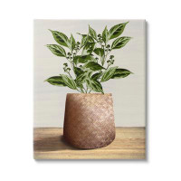 Bay Isle Home™ Plant in Woven Planter Canvas Wall Art by Marcus Prime