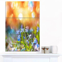 Made in Canada - Design Art 'Little Flowers Meadow with Snowdrops' 3 Piece Photographic Print on Wrapped Canvas Set