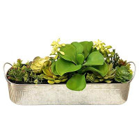 Primrue 5'' Artificial Succulent Plant in Pot