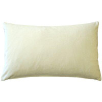 Mercer41 Rectangular Velvet Pillow Cover & Insert