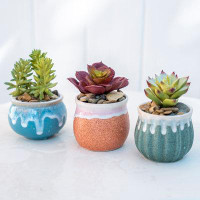 Primrue Set Of 3 Faux Succulent Plants With Glaze Ceramic Pot