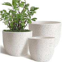 Ebern Designs Coriann 3-Piece Plastic Pot Planter Set