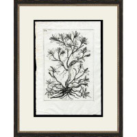 Wendover Art Group Rooted Plant III by No Artist - Picture Frame Painting Set