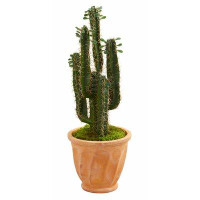 Primrue 3' Cactus Artificial Plant In Terra Cotta Planter