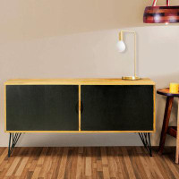 Ivy Bronx TV Entertainment Unit With 2 Doors And Wooden Frame