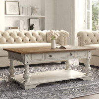 Laurel Foundry Modern Farmhouse Hexham Coffee Table with Storage