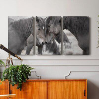 Foundry Select Wild Horses- Premium Gallery Wrapped Canvas - Ready To Hang