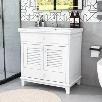 Winston Porter Bathroom Vanity with Sink with Doors and Drawer