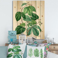East Urban Home Vintage Green Leaves Plants III - Traditional Print On Natural Pine Wood