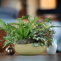 Wrought Studio Dhruvin ECOBO Eco-Friendly Round Pot Planter, Rochas Indoor/Outdoor Four Season Use