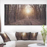 Made in Canada - Design Art Forest Pathway View at Sunset - Wrapped Canvas Photograph Print