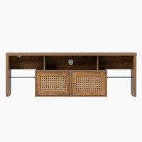 Millwood Pines 15.70" TV Stand, Two doors of TV cabinet, up to 60 in.