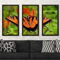 World Menagerie Metallic Butterfly by Kathy Mansfield - 3 Piece Picture Frame Photograph Print Set on Acrylic