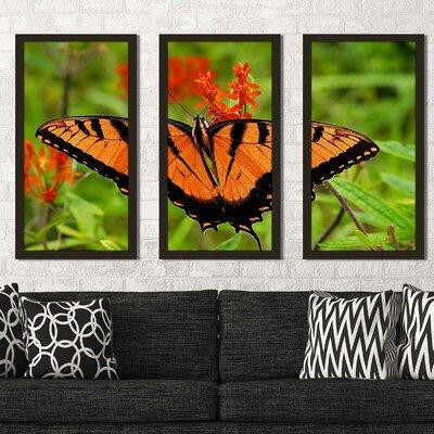 World Menagerie Metallic Butterfly by Kathy Mansfield - 3 Piece Picture Frame Photograph Print Set on Acrylic in Home Décor & Accents