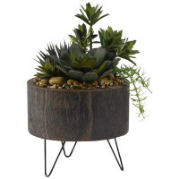 Union Rustic Yucca, Aloe and Echeveria Succulent in Wooden Planter with Legs