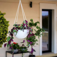 Latitude Run® 2 Pack Self Watering Hanging Planters For Indoor Plants, Hanging Plant Pot, Hanging Planters For Indoor Pl