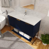 Latitude Run® 48" Bathroom Vanity With Sink, Freestanding Bathroom Vanity With Soft Close Door & Drawer And Open Shelf