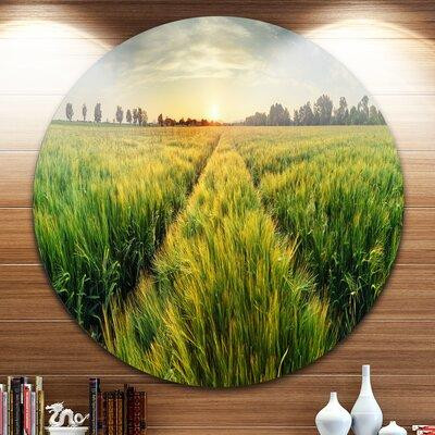 Made in Canada - Design Art 'Green Wheat Field at Sunset' Photographic Print on Metal in Arts & Collectibles