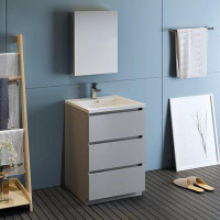 Ebern Designs Lazzaro 24'' Free-standing Modern Single Bathroom Vanity with Acrylic Top and Medicine Cabinet