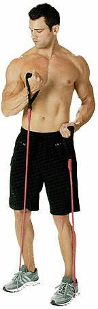 BOLLINGER FLEX BAND EXERCISE KIT -- Essential bands for a Total Body Workout -- Amazing Price!