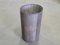 IFC 6 In. Dia. Flanged Y Strainer Screen SS