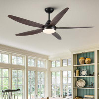 Hokku Designs 56 In Ceiling Fan With Colour-Changing LED Light Intergrated LED Ceiling Fan Lighting