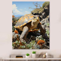 Highland Dunes Turtle Aquatic Wanderer Pastoral I On Canvas Print