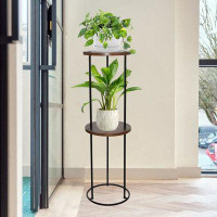 17 Stories 2 Tier Plant Stand Indoor Tall Corner Plant Shelf 31" ,Black