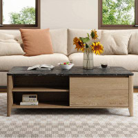 Ivy Bronx Jamorion 4 Legs Coffee Table with Storage