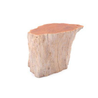 DYAG East Solid Wood Abstract End Table