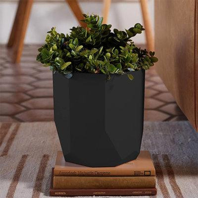 Wrought Studio Jineen Cardboard Pot Planter in Patio & Garden Furniture